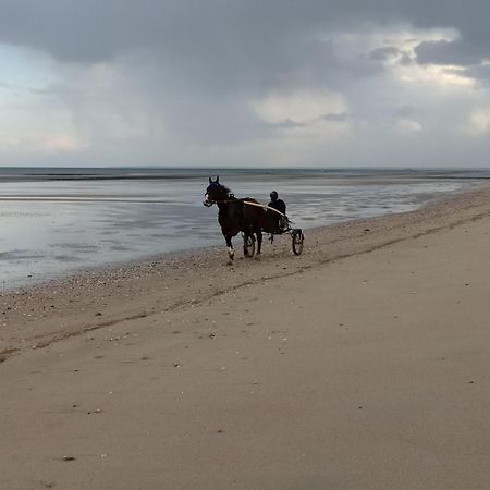 Gites "Plage" Ou "Pieds Dans L'Eau" En Front De Mer A Asnelles , 3Km D'Arromanches, 10Km De Bayeux Dış mekan fotoğraf