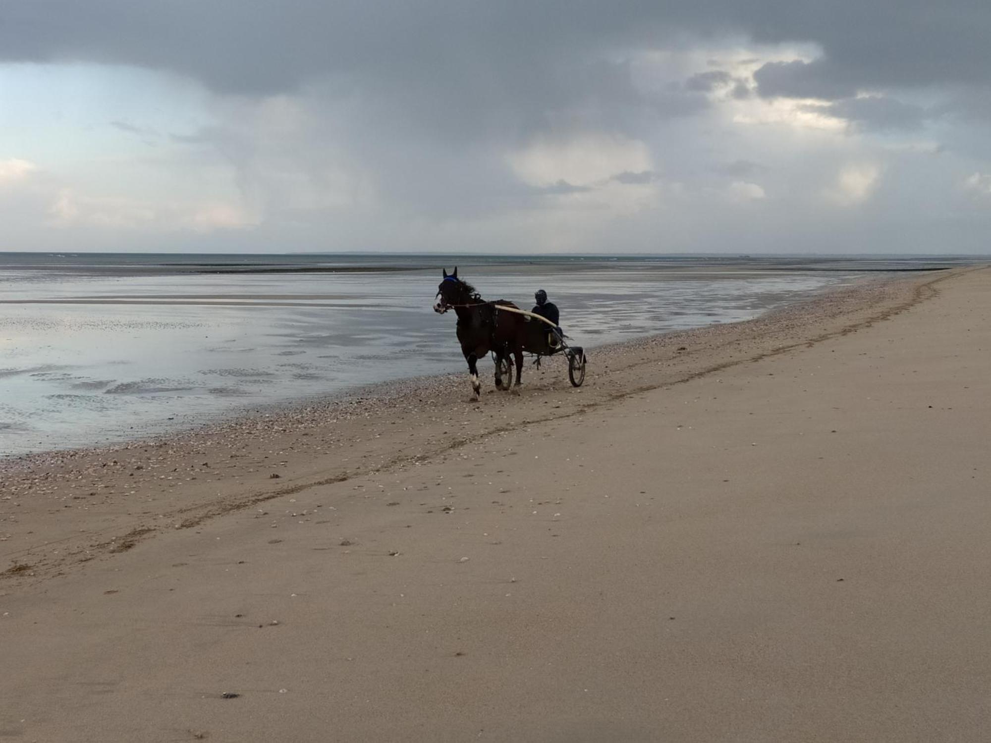 Gites "Plage" Ou "Pieds Dans L'Eau" En Front De Mer A Asnelles , 3Km D'Arromanches, 10Km De Bayeux Dış mekan fotoğraf